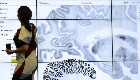 Una mujer observa una pantalla gigante durante una rueda de prensa sobre el Proyecto Cerebro Humano en el Instituto Federal de Tecnología suizo, en el campus Biotech de Ginebra (Suiza). EFE/Laurent Gillieron/Archivo 	   