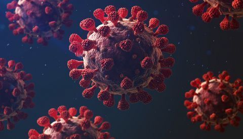 La pandemia cumple un año: ¿Pueden las personas vacunadas contagiar el coronavirus?
