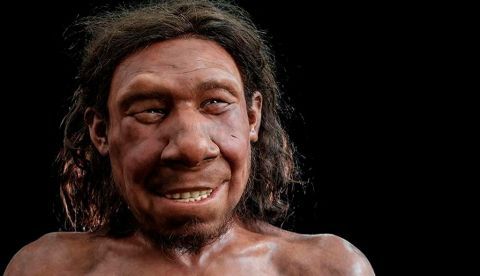 Los neandertales, unos “primos lejanos” que amaban y eran creativos