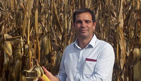 El vicepresidente del Comité de Organizaciones Profesionales Agrarias comunitarias (COPA), el español Pedro Gallardo, posa en un maizal. COPA espera que la llegada a la presidencia de EEUU de Joe Biden favorezca un cambio rápido en la política comercial y una solución a los aranceles que gravan alimentos españoles y de otros países. 