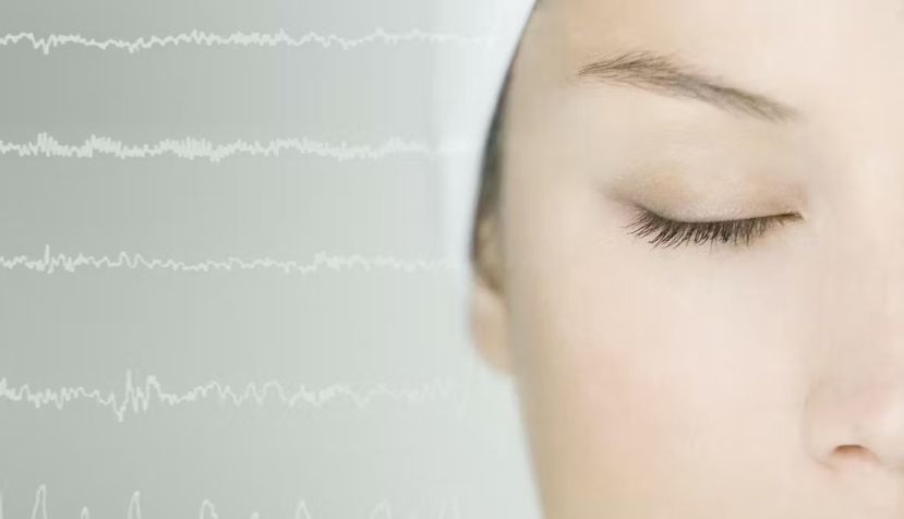 Image Point Fr / Shutterstock