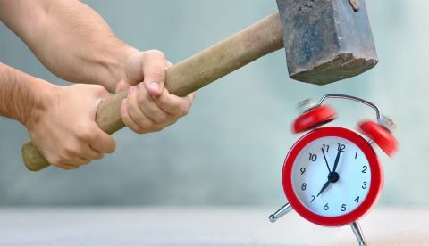 Shutterstock / Varavin88