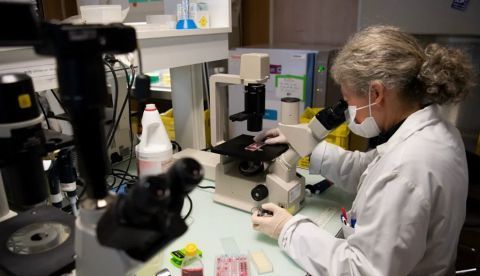 La búsqueda de una vacuna contra el Covid-19 ha dado lugar a muchos más ensayos clínicos que para otros medicamentos. Loïc Venance / AFP
