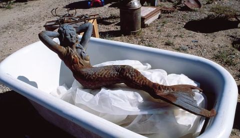 Autopsia a una momia de sirena