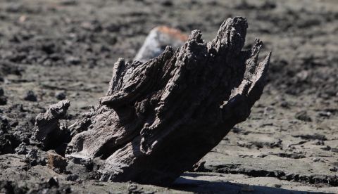 El Miteco abre expedientes por los drásticos desembalses en hidroeléctricas