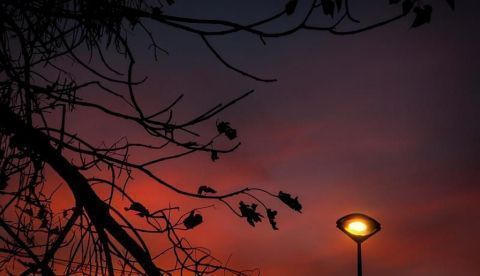 Un pueblo soriano pone en marcha la primera comunidad energética rural