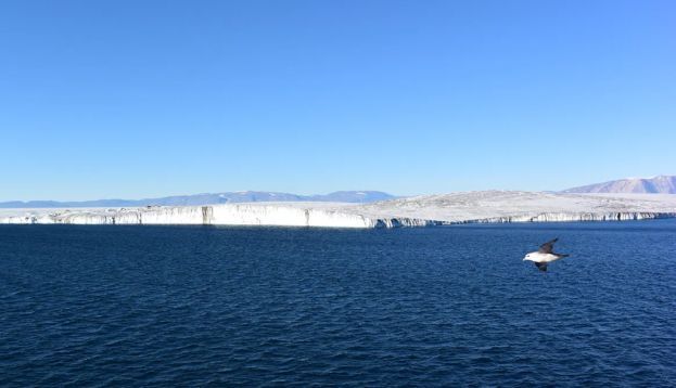 Cambio climático y acción política