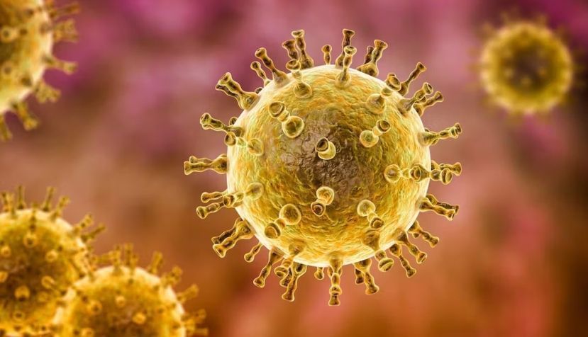 El virus de la varicela-zóster puede reactivarse cuando bajan las defensas y causar el herpes zóster. Kateryna Kon / Shutterstock