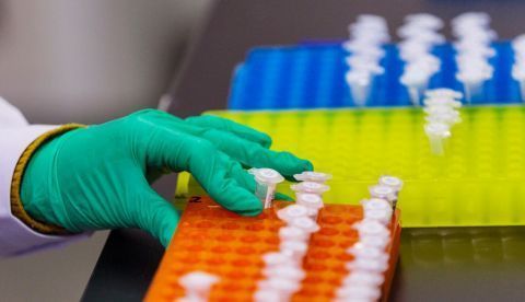 Un técnico trabaja en el laboratorio de investigación de genética. EFE/Archivo 	   