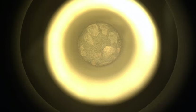 Esta imagen del regolito marciano (roca y polvo rotos) fue captada el 2 de diciembre de 2022 por la Cámara del Sistema de Muestreo y Almacenamiento (conocida como CacheCam) del vehículo explorador Perseverance de la NASA. NASA/JPL-Caltech