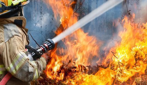 Homogeneizar la figura de los bomberos forestales, clave contra los incendios