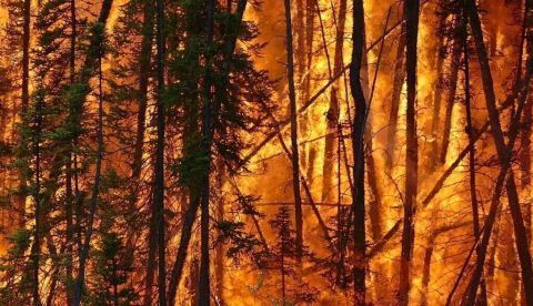 España no arde, la queman