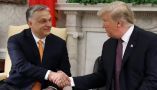  President Donald Trump shakes hands with Hungarian Prime Minister Viktor Orbán during a meeting in the Oval Office on May 13, 2019, in Washington, D.C. Mark Wilson/Getty Images