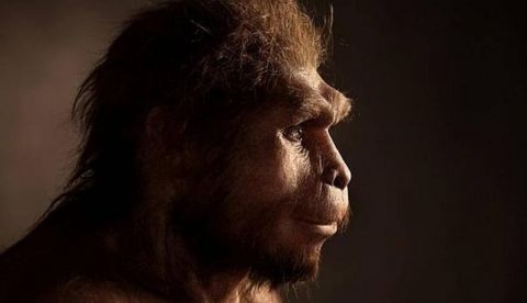 Demuestran que el hombre ya comía carne de animales hace 1,2 millones de años