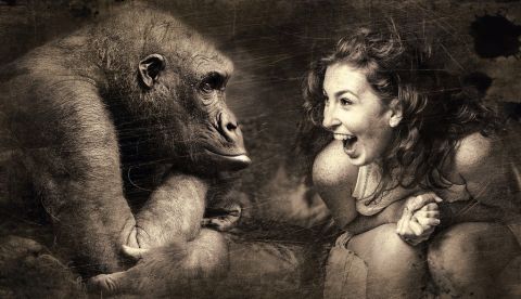 El amor en los tiempos de guerra (los filósofos de fondo)