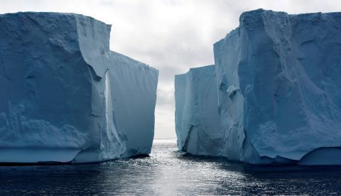 Vista de icebergs en la Antártida. EFE/María Molina/Archivo 	   