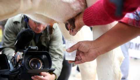 Los bebés fueron alimentados con la fórmula del estudio durante al menos dos meses hasta la edad de 6 a 8 meses y, al mismo tiempo, no recibieron proteínas de leche de vaca de ninguna otra fuente de alimentos. EFE/Archivo