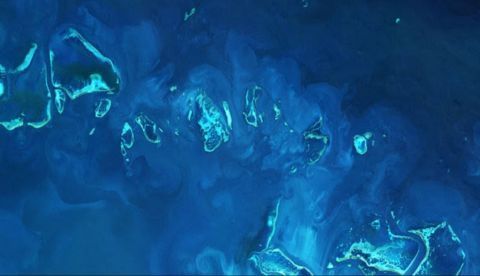 Imagen que muestra el blanqueo del coral. EFE