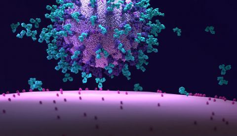 Shutterstock / Design_Cells
