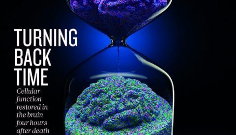 Portada del número de la revista Nature en el que se publica el estudio./EFE