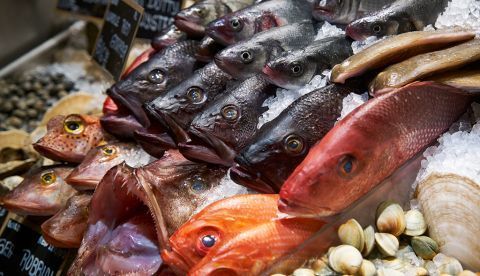 ¿Qué sabemos del pescado que comemos?