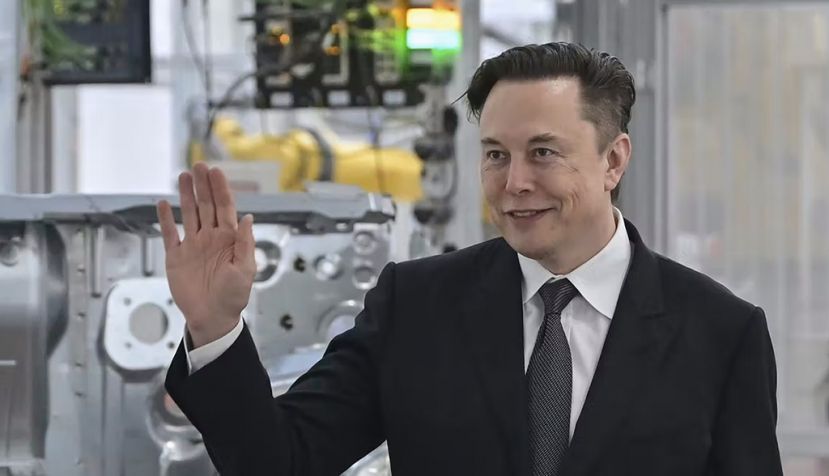 Musk argues Twitter is better off in private hands – his. Patrick Pleul/Pool via AP