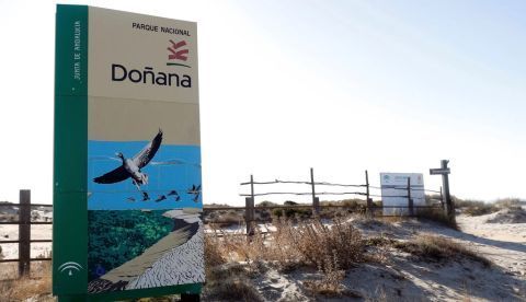 Ecocidio en Doñana