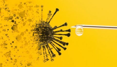 Shutterstock / MIA Studio