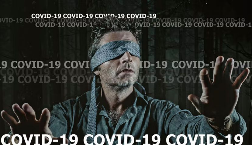 Shutterstock / TheVisualsYouNeed