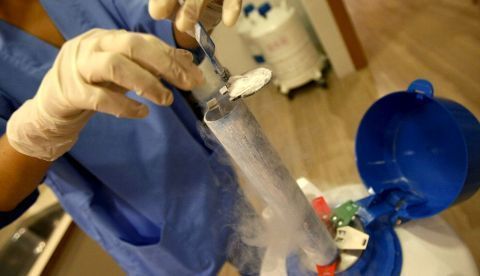 Una profesional de la medicina trabaja con probetas de congelación de ovocitos. EFE/Archivo 