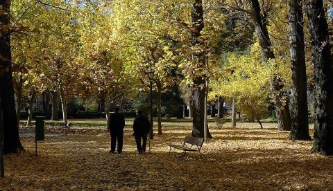 Dos ancianos pasean por el Parque de Quevedo en León. EFE/Archivo 	   