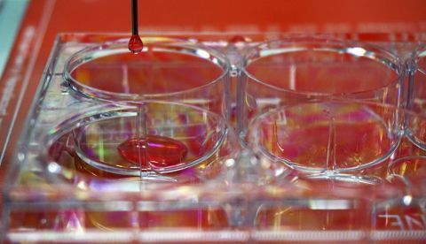 Desarrollan tintas con células para crear tejidos humanos con bioimpresoras 3D