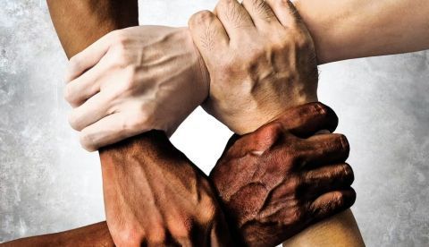 TheVisualsYouNeed/Shutterstock