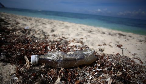 Vista de desechos plásticos en una playa. EFE/Lourdes Cruz/Archivo