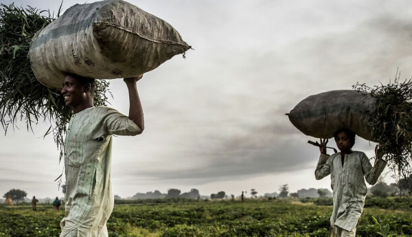 A farmer and his son, Sokoto State, Nigeria, 2019. Luis Tato/AFP via Getty Images