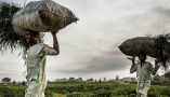 A farmer and his son, Sokoto State, Nigeria, 2019. Luis Tato/AFP via Getty Images