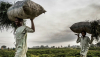 A farmer and his son, Sokoto State, Nigeria, 2019. Luis Tato/AFP via Getty Images