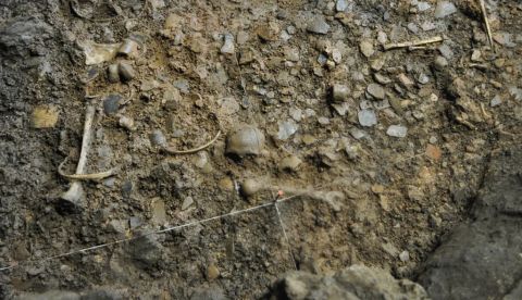 Restos humanos sobre un suelo de cerámicas en la cueva de Els Trocs, San Feliu de Veri / Bisaurri (Huesca). Equipo de la Universidad de Valladolid, Author provided