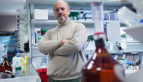 El director del Instituto de Biomedicina y Biotecnología de Cantabria (IBBTEC), Piero Crespo, durante una entrevista mantenida con Efe, donde ha dicho que "hay que abortar muchos proyectos por falta de fondos" y, según él, se enfrenta al mismo problema que el resto de centros de investigación de España, a " la triste realidad de la ciencia". EFE