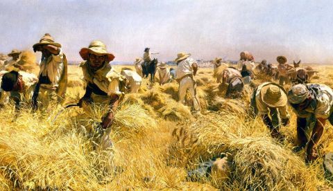 La enseñanza agronómica en la época afrancesada