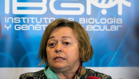 La presidenta del Consejo Superior de Investigaciones Científicas (CSIC), Rosa Menéndez. EFE/Archivo