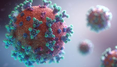 En defensa de la ciencia y su divulgación