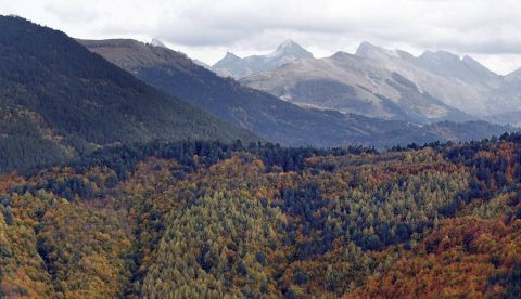 Vista de la Selva de Irati (Navarra) con los Pirineos de fondo, el mayor bosque de hayas de Europa occidental. EFE/Jesús Diges