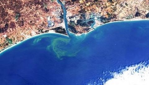 En la foto, captada por un satélite de la ESA, se aprecia la presencia de algas en el Golfo de Cádiz. Imagen cedida por la ESA. EFE