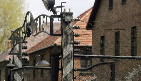 Los procesos de Auschwitz, seis décadas del comienzo del fin del olvido