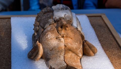 Hallan en un yacimiento de Extremadura las primeras representaciones humanas de Tartessos