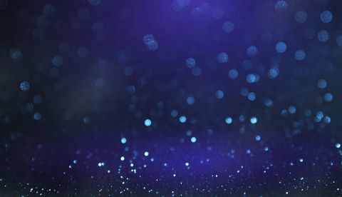 Shutterstock / VAlekStudio