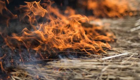España ha registrado 14 grandes incendios forestales en lo que va de año
