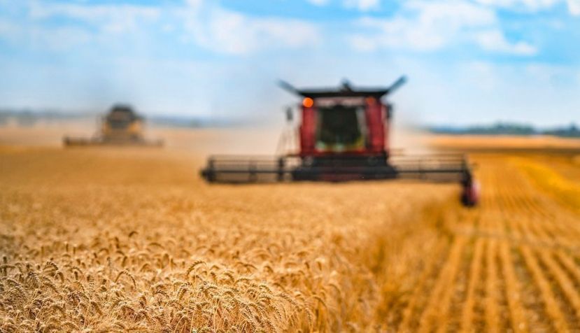 La agricultura, víctima y responsable del cambio climático, a debate en la COP27