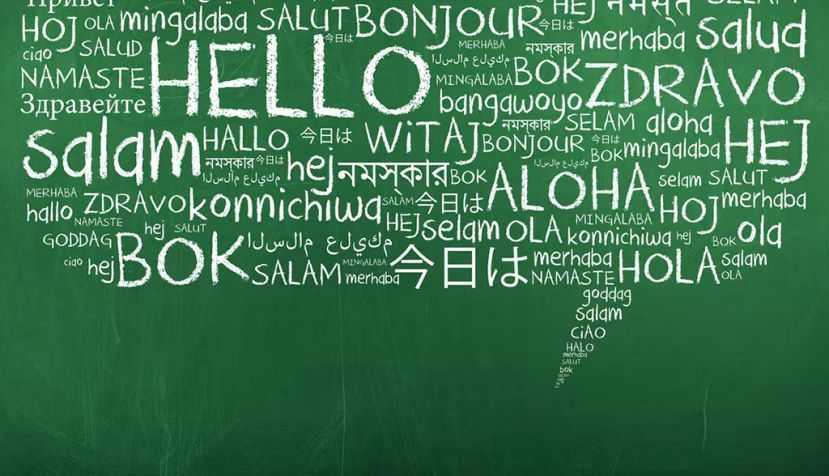 Shutterstock / Aysezgicmeli